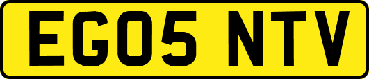 EG05NTV