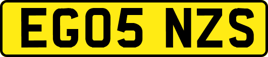 EG05NZS