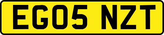 EG05NZT