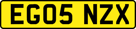EG05NZX