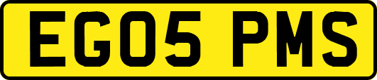 EG05PMS