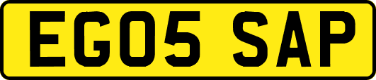 EG05SAP