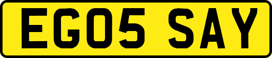 EG05SAY