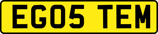 EG05TEM
