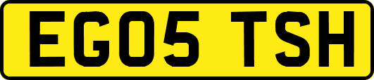 EG05TSH