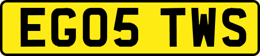 EG05TWS