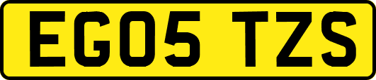 EG05TZS