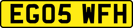 EG05WFH