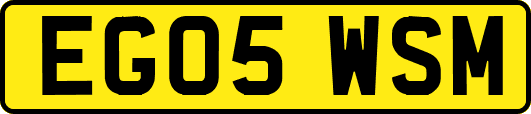 EG05WSM