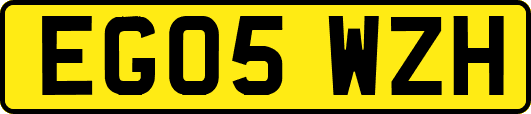 EG05WZH