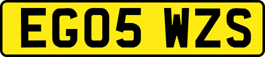EG05WZS
