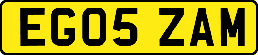 EG05ZAM
