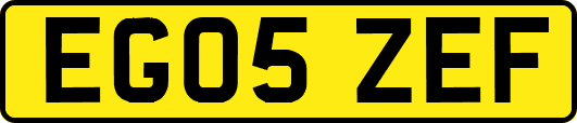 EG05ZEF