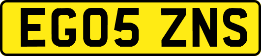 EG05ZNS