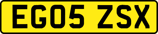 EG05ZSX