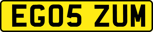 EG05ZUM
