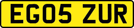 EG05ZUR