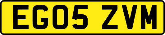 EG05ZVM