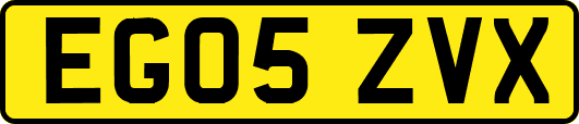 EG05ZVX
