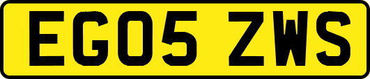 EG05ZWS