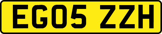 EG05ZZH