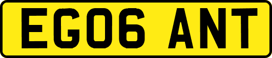 EG06ANT