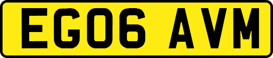 EG06AVM