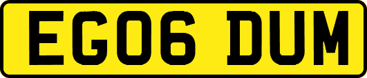 EG06DUM