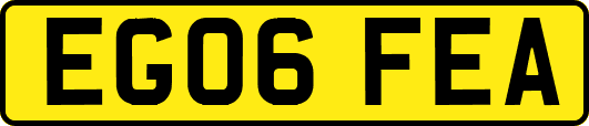 EG06FEA