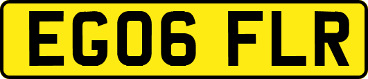 EG06FLR
