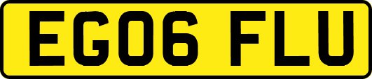 EG06FLU