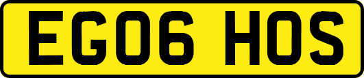 EG06HOS