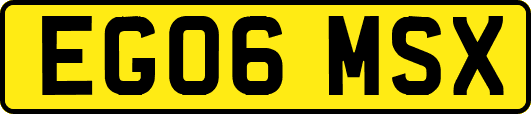 EG06MSX