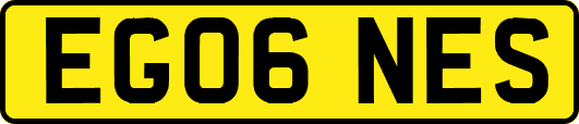 EG06NES