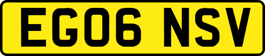 EG06NSV