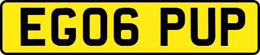EG06PUP