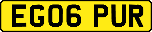 EG06PUR