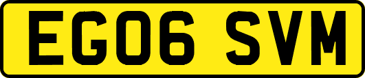 EG06SVM