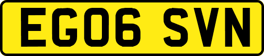 EG06SVN