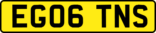 EG06TNS