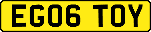 EG06TOY