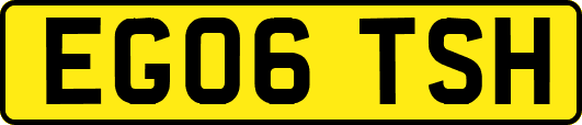 EG06TSH