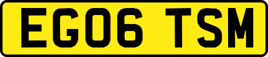 EG06TSM
