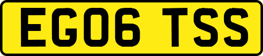 EG06TSS