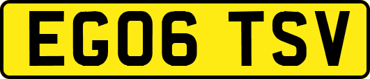 EG06TSV