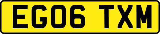 EG06TXM
