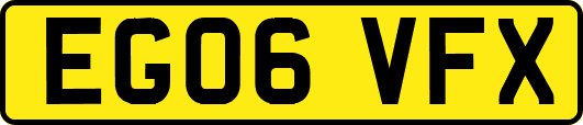 EG06VFX