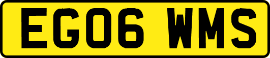 EG06WMS