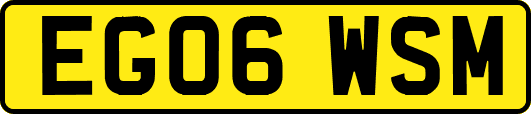 EG06WSM