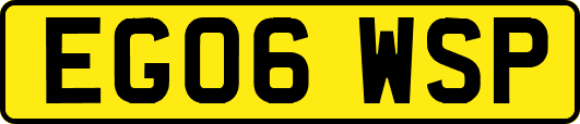 EG06WSP